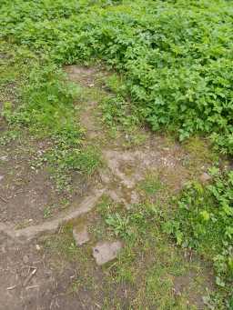 Ruined Structure, Holliday Park, Durham Road, Langley Moor © DCC 25/04/2022